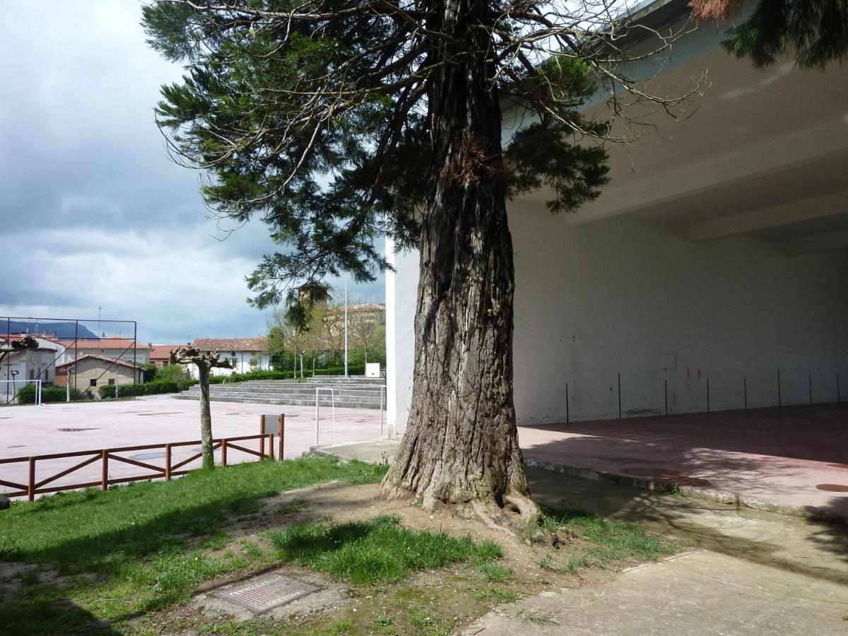 Apartamentos Rurales Imaz Etxea - Urbasa Olazagutia ห้อง รูปภาพ